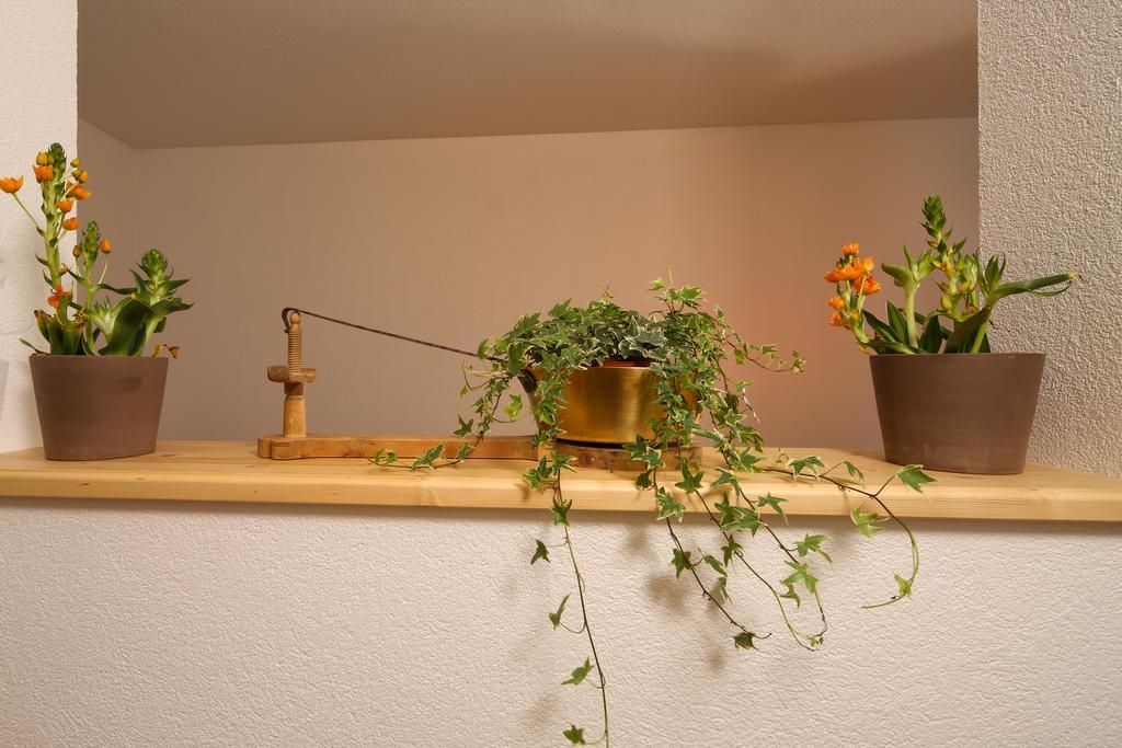 Landhaus Zell レンゲンフェルト エクステリア 写真